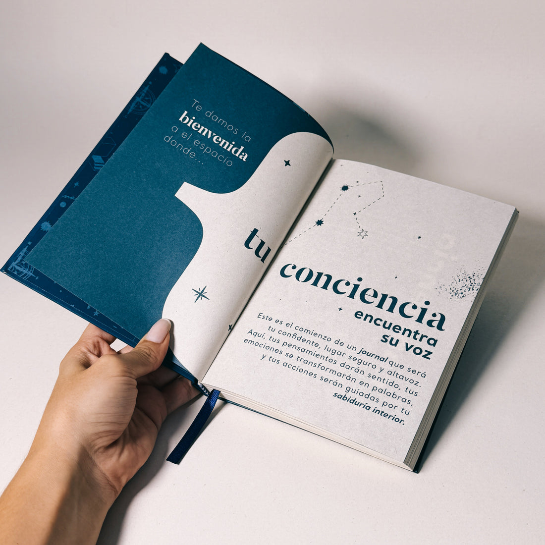 Journal Conciencia